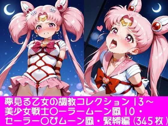 夢見る乙女の調教コレクション13〜美少女戦士〇ーラームーン風10・ちび〇さ風・緊縛編