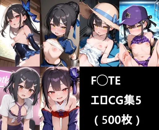 F◯te HCG集5 ( 500枚 )